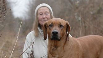 Loppan blev Årets bragdhund