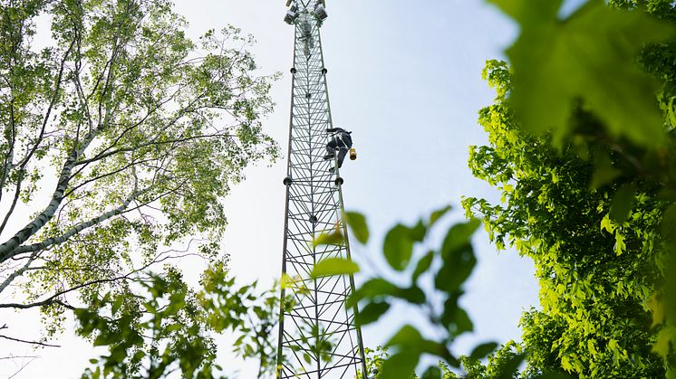 Telenor mast i grønt landskab
