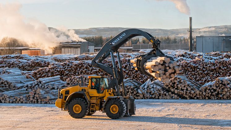 Skognæringen skriver stadig ny historie. Her  ved tømmermålingsanlegget til sagbruksbedriften Moelven Våler AS på Braskereidfoss. Foto: Bård Løken/Anno