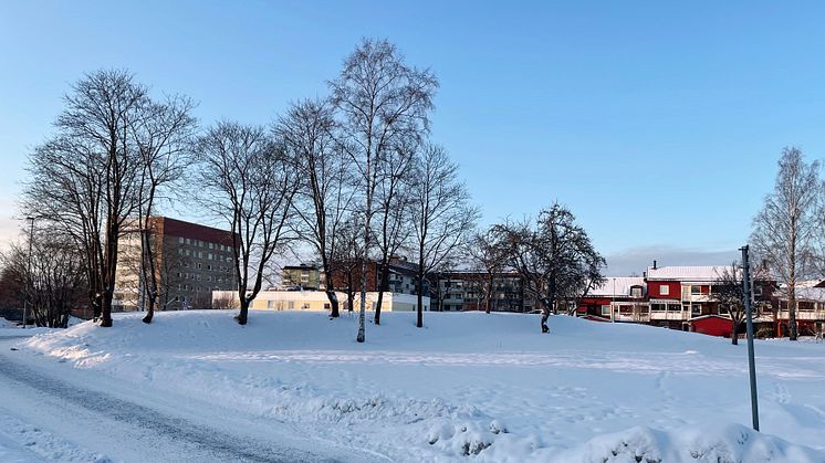 Tomten där trygghetsboendet planeras att byggas.