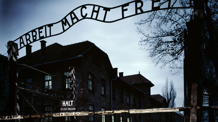  AUSCHWITZ: THE NAZIS AND THE FINAL SOLUTION_The HISTORY Channel