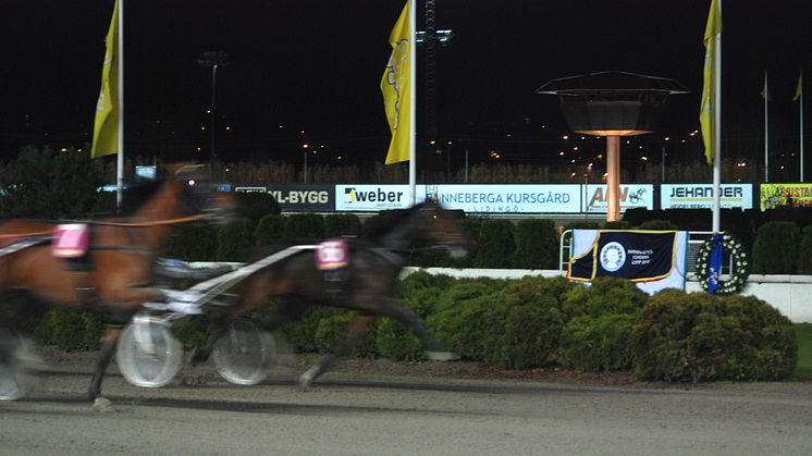 Barndiabetesfonden på Solvalla den 8 december  