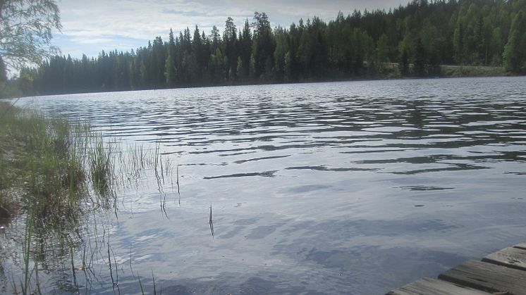 Hållbar vattenkraft i Dalälven