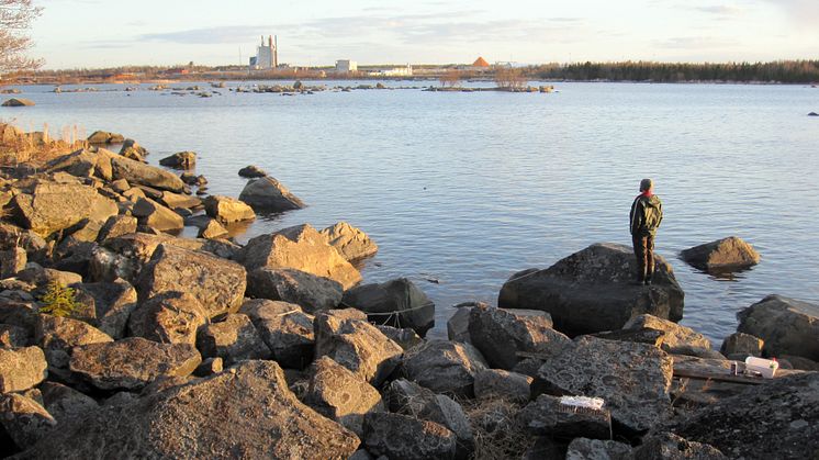 Miljön utanför skogsindustrier återhämtar sig