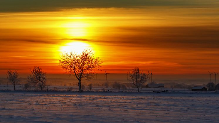 Vintriga väderprognoser för resten av året har bidragit till att dra upp decemberkontrakten en smula.