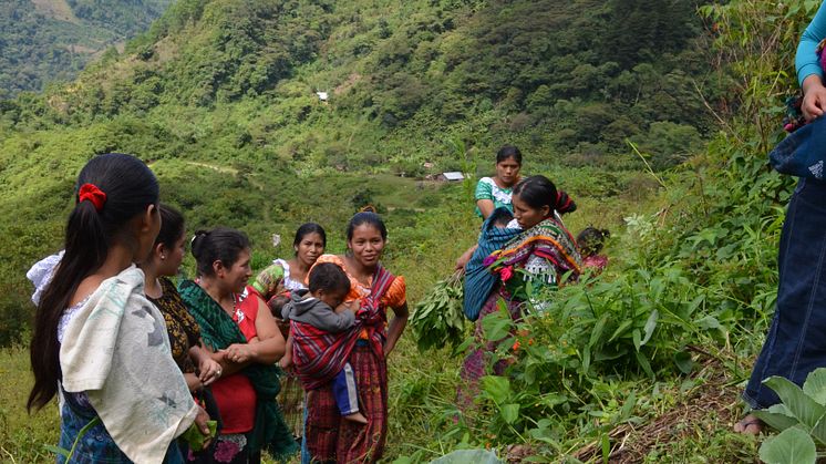 Bygdekvinner i Guatemala