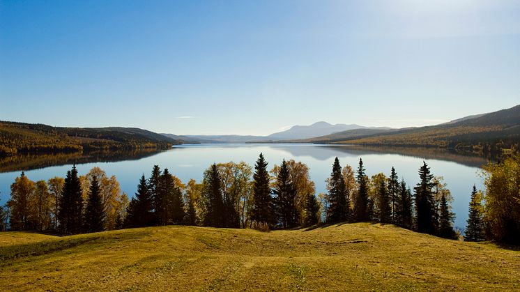 Nya Solmärket, alla 10 000 märken gick åt