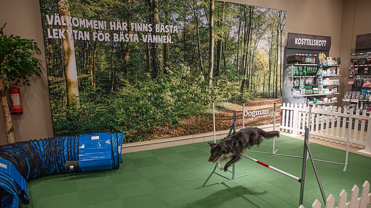 Dogmans butiksnät i Sverige växer – Förvärvar Växjöbaserad butik
