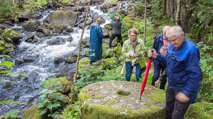 Vattenvandring längs Mölndalsån med Mölndalsåns vattenråd. Foto: Peter Nolbrant