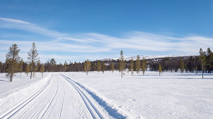 Grovelsjon_cross-countrytracks_fotoAnnaHolm_Visitdalarna