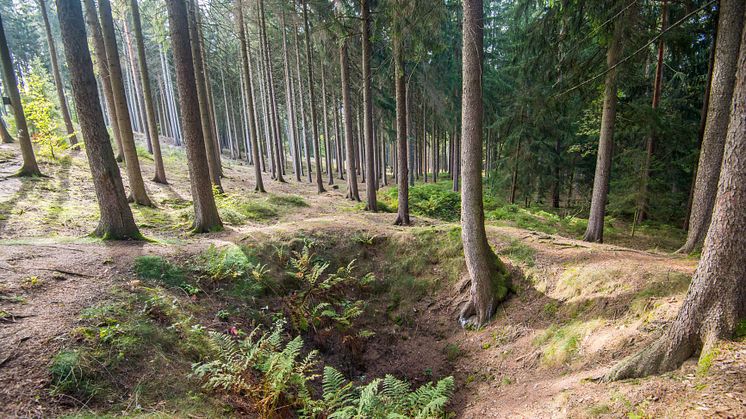 Über Jahrhunderte durchlöchert: Aus Schritt und Tritt begegnet der Wanderer Bergbauzeugen aus Mittelalter und Früher Neuzeit (Foto: Georg Ulrich Dostmann)