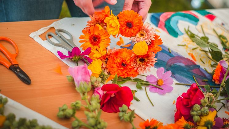 Den 11-12 augusti är det dags för Trädgårdsgillet i Landskrona! Festen för alla som älskar växter, blommor och odling. Foto: Yazan Smadi.