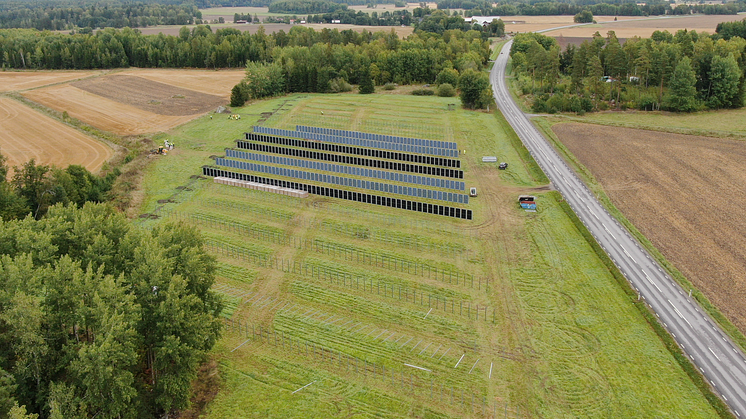 I Solvallen i Vässlingby kombineras elproduktion med fortsatt brukande av jordbruksmarken. Foto: Linde energi