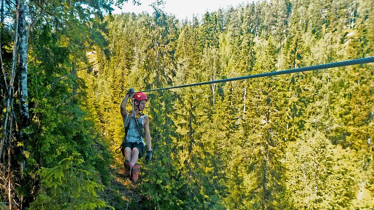 ​Kamikazebana öppnas på Zipline i Småland