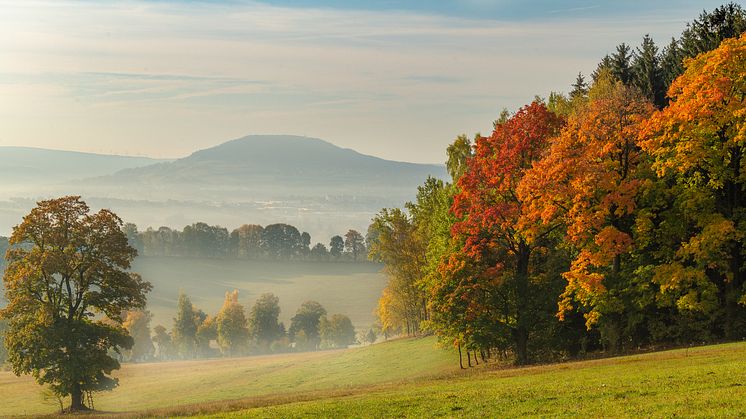 Herbststimmung im Erzgebirge 