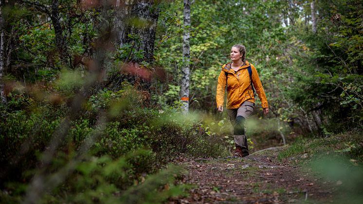 Billingeleden rustas upp med EU-medel och nya slingor kommer att anläggas. Foto: Tobias Andersson/upplevskovde.se