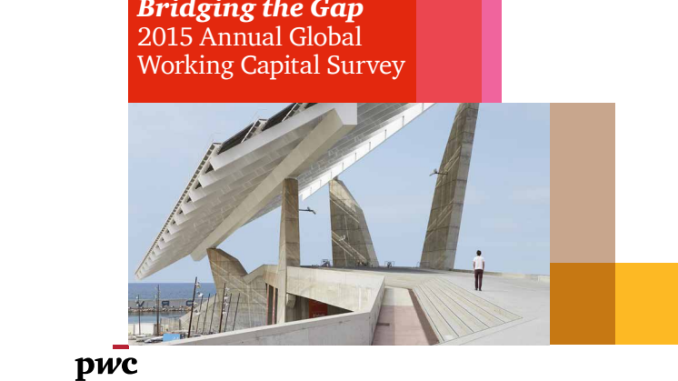 Global Working Capital Survey 2015