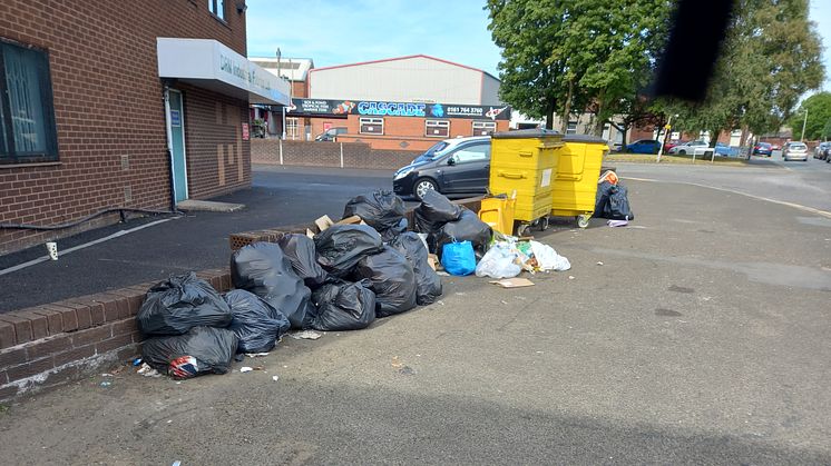 Another ten fined for fly-tipping and littering - in just one month