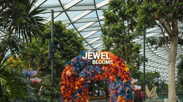 Be prepared for a multi-sensory journey through a world of flowers at Canopy Park, and take part in a line-up of floral-themed activities.