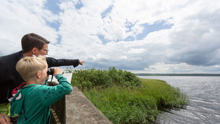 Fågelskådning invid Finjasjön och Hovdala Naturområde. 