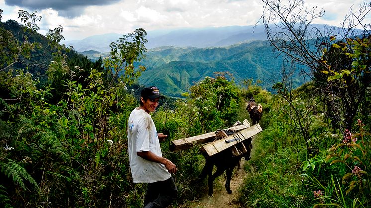 Bæredygtig skovbrug i Honduras