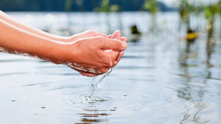 Öppet brev till Svenska Skidförbundet och Svenska Skidskytteförbundet - sluta med fluorvallorna