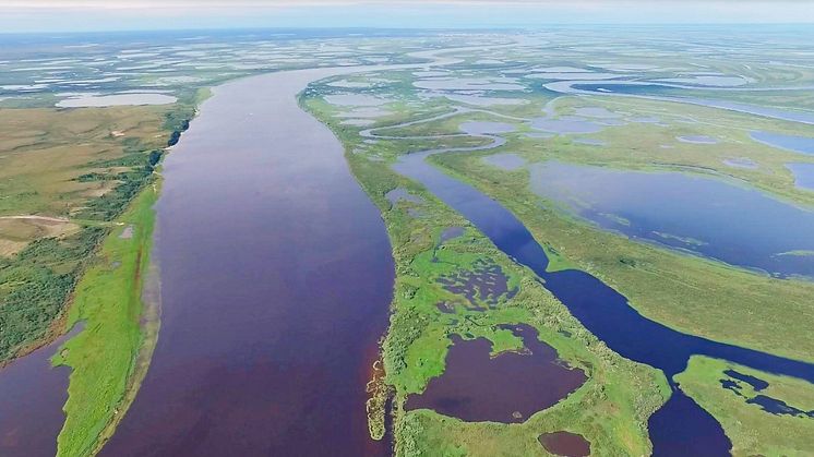 Exempel på inlandsvatten som studerades i västra Sibirien. Foto: Egor Istigechev