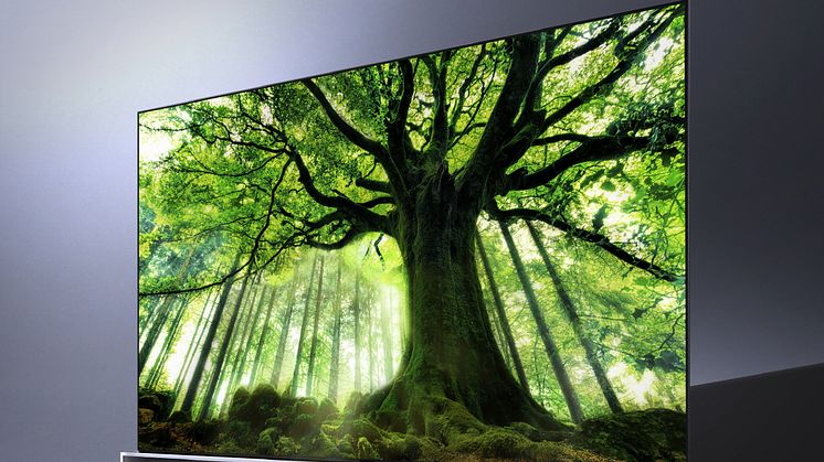 LG SIGNATURE OLED 8K TV (model 88Z9)_3