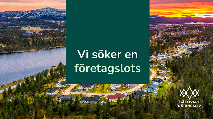 Gällivare Näringsliv söker en företagslots