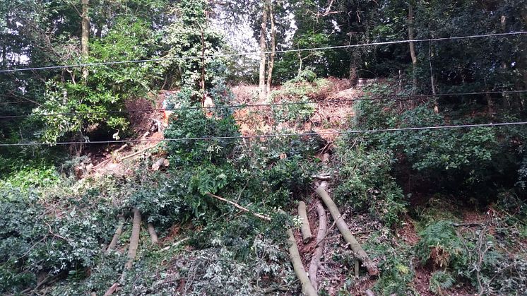 In the last 24 hours, two trees have fallen onto the line, badly damaging overhead power lines, and a section of the embankment, north of University station, has become unstable.