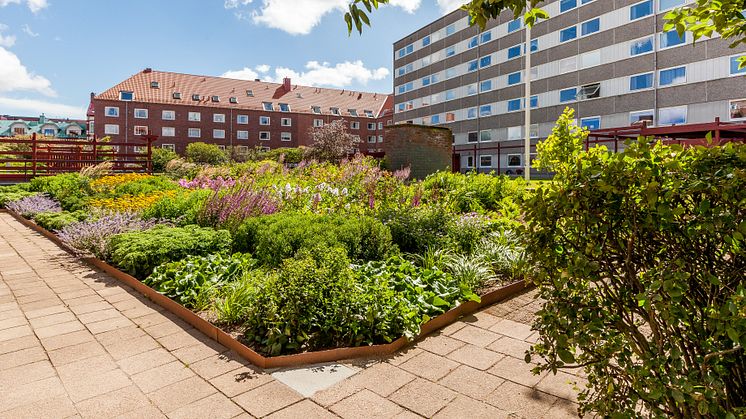 Willhem bygger om lokaler till bostäder i Halmstad