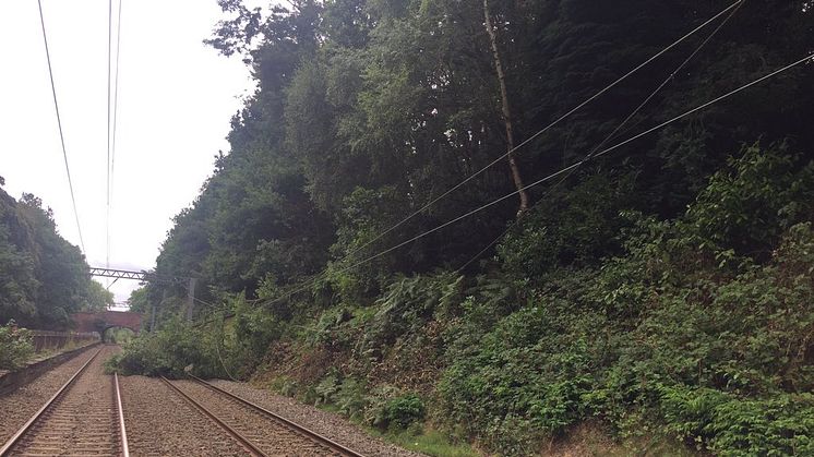 A  number of trees have fallen on the line near University and Five Ways stations and there has been damage to the embankment