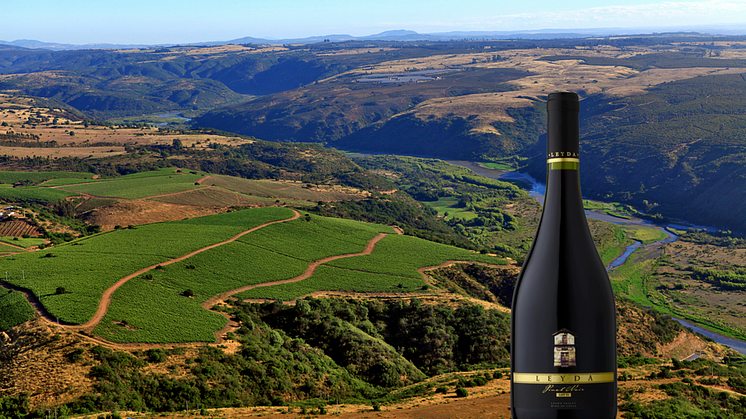Ny Pinot Noir från en av Chiles bästa vinmakare