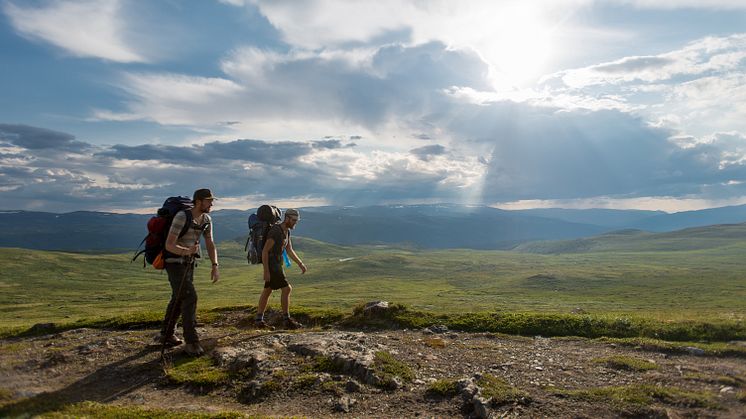 A mindful hike. The Gudbrandsdalsleden over Dovrefjell, one of the nine St. Olav's Ways. Photo: David Tett