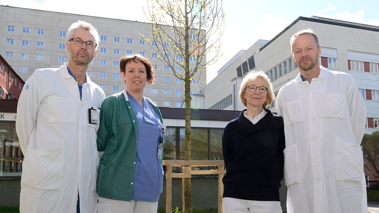 Plantering av träd till minne av organdonatorer