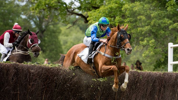 Svensktränade Truckers Glory tog hem Svenskt  Grand National förra året. Foto: Elina Björklund/Svensk Galopp