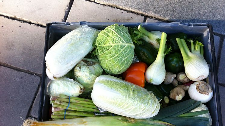 Stadsmissionen och Axfood öppnar Nordens första Social Supermarket