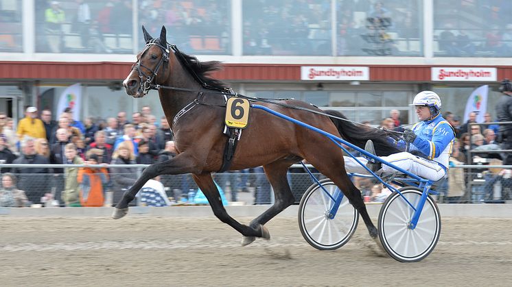 Söndag med smak av Prix d'Amerique