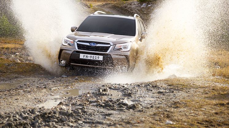 Subaru Forester XT