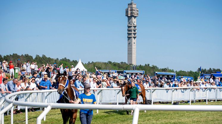 Nationaldagsgaloppen 2019