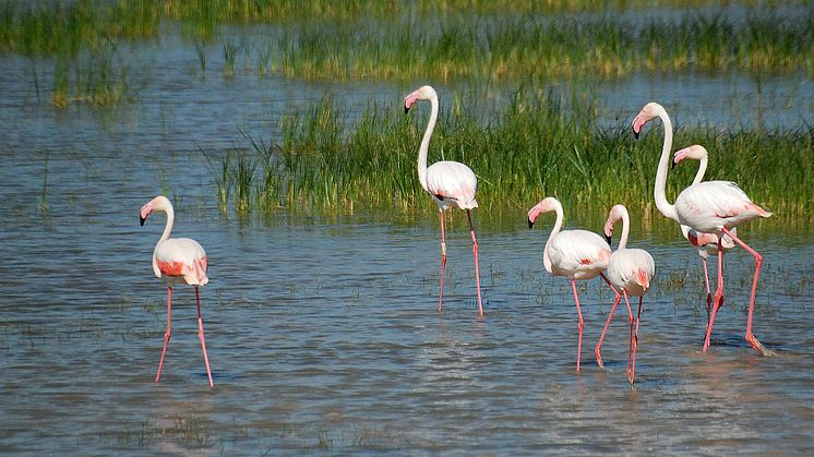 Press trip: Natural Heritage of Andalusia