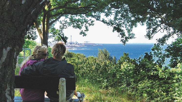 Öppet hus om utvecklingen av Pålsjö den 4 juni