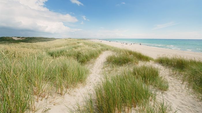 Möt det magiska ljuset i Skagen - och få en glimt av Oslo