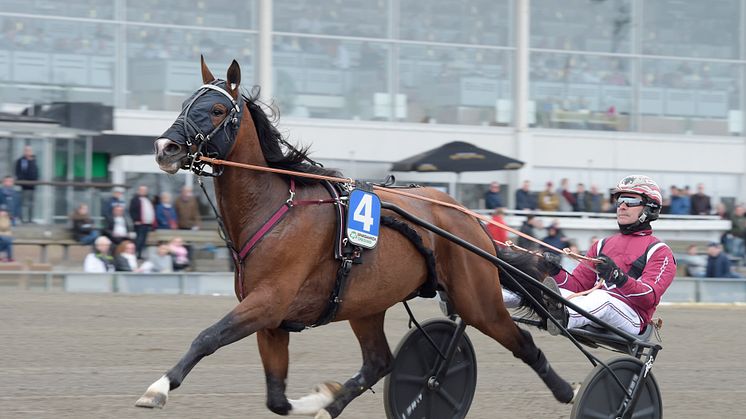 Rajesh Face. Foto: Lars Jakobsson, TR Bild. 