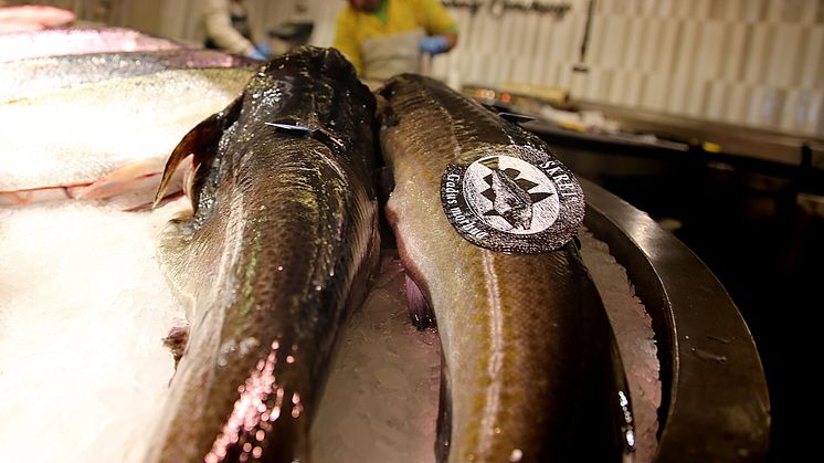 Skrei på fiskemarkedet i Madrid