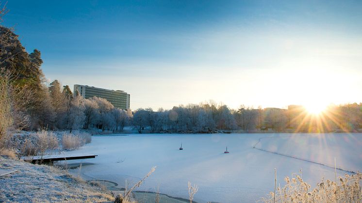 Från och med 1 januari 2018 finns två nya verksamhetschefer på Danderyds sjukhus. Maria Persson, Kvinnokliniken och Andreas Kling, Medicinkliniken. Foto: Carin Wesström