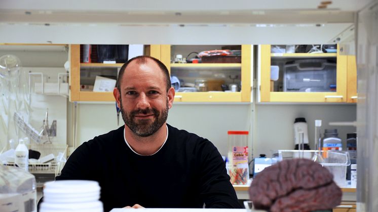 Christian Broberger, professor i neurokemi vid Institutionen för biokemi och biofysik, Stockholms universitet. Foto: Mika Neitz Pettersson