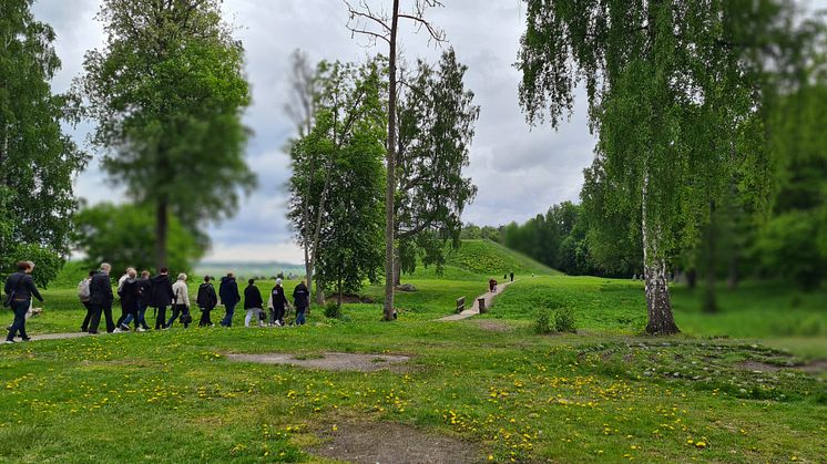 Nu börjar sommarens guidade turer på Anundshög!