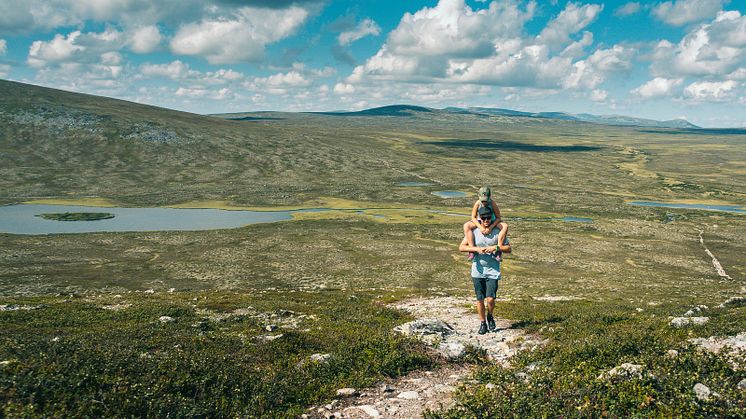 Lättillgänglig fjällvandring är Grövelsjöns signum. Här är det nära till storslagna vyer och många olika alternativ för den som vill vandra. Foto: Erik Kilström/Visit Dalarna.