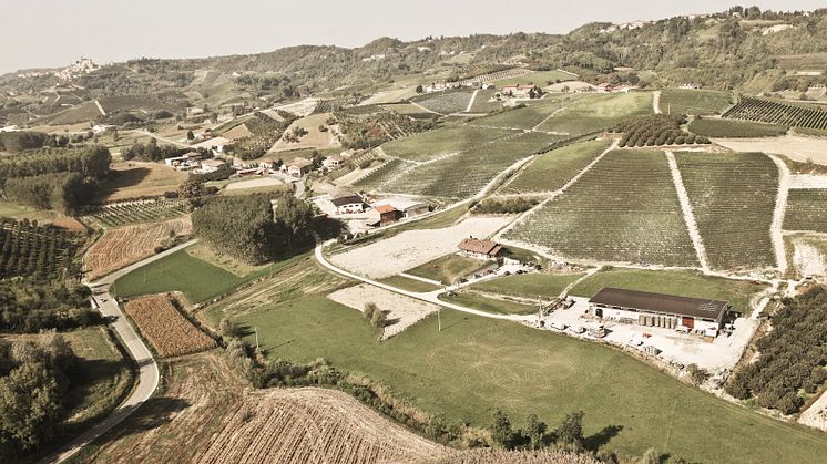 Piemonte øker i salg på Vinmonopolet